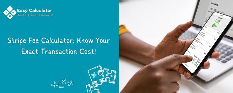 Stripe Fee Calculator: Know Your Exact Transaction Cost